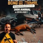 DONOS IRRESPONSÁVEIS – Prefeitura de Lucena apreende entre 6 a 10 animais soltos nas ruas por semama