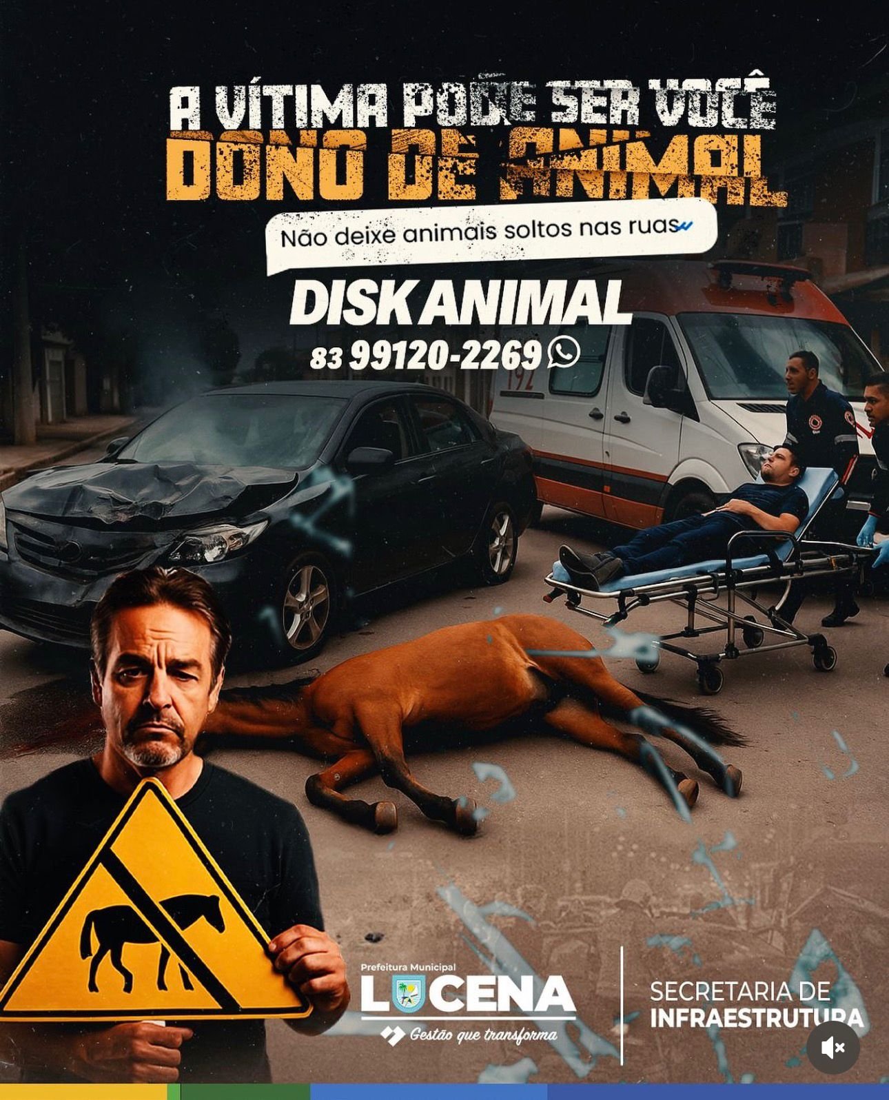 DONOS IRRESPONSÁVEIS – Prefeitura de Lucena apreende entre 6 a 10 animais soltos nas ruas por semama