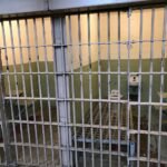 RACISMO – Mulher chama de “macaco” funcionário de hospital pet e acaba presa na Capital